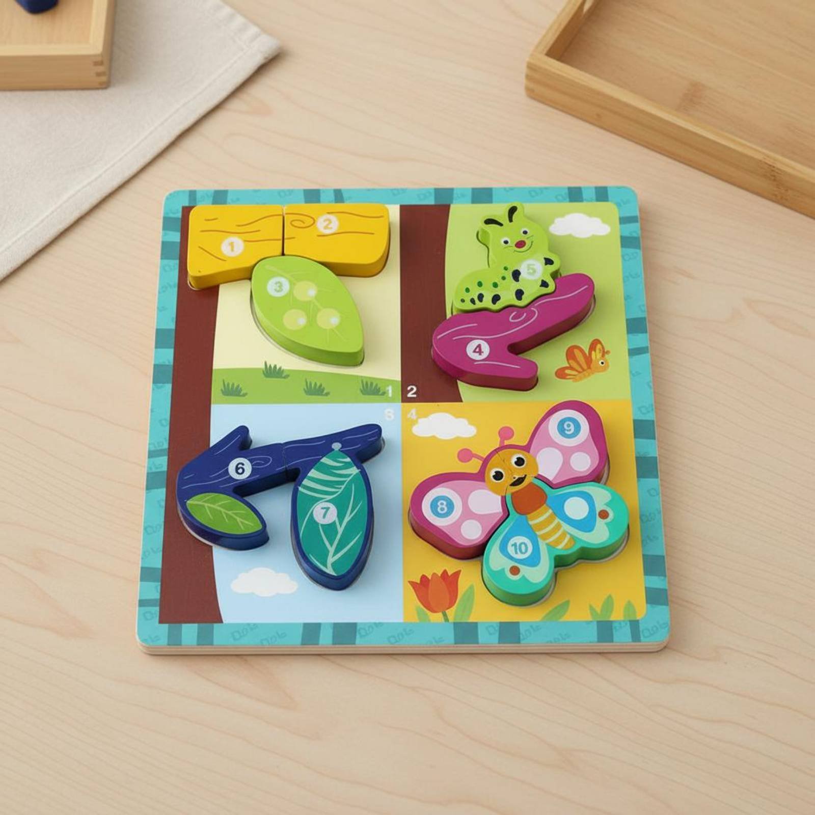 Wachstums-Brettspiel zur kogni – Board Game Nature Bewertung und Preis